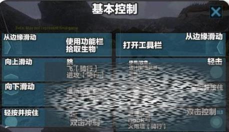 β ô