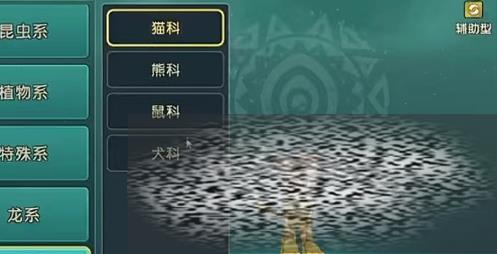 ħ˽ϵͳô ħ˽淨