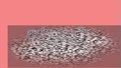 Ķȫ鴥 淨ȫ