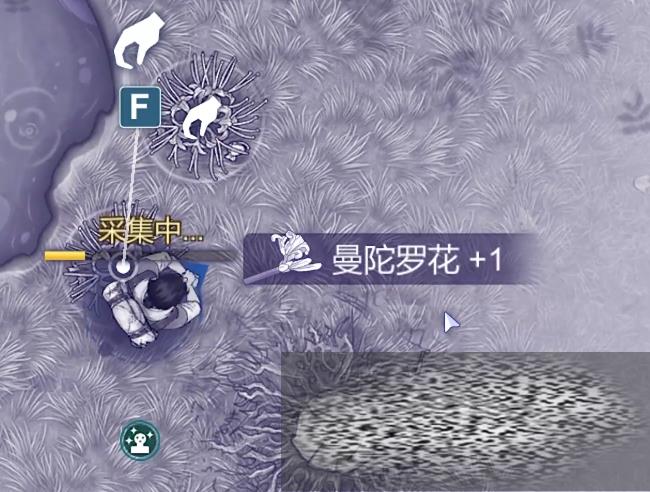 ˹2ͼЩ ˹2ͼ̽