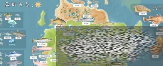 ĶСô ĶС㹥Ƽ