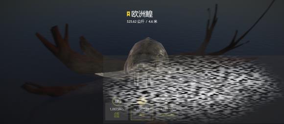 ŷĵ ŷһ