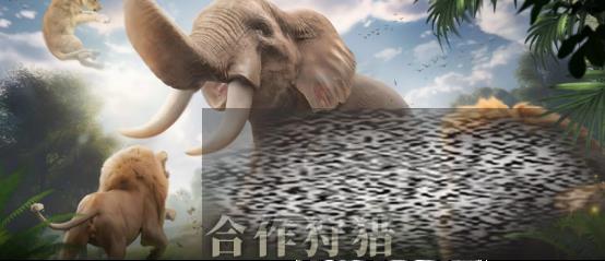 Ұ ô