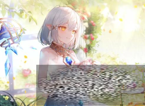 ϶ٻʲô ϶ٻ鿨ƽ